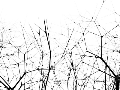 Everyday Practice No. 144 3d bw neuron practice render tree