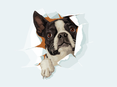 Lyons Dribbble Boston Terrier boston terrier dog illustration lyons