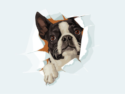 Lyons Dribbble Boston Terrier