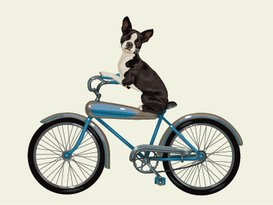 Lyons Dribbble Dog On Bike bike boston terrier dog illustration lyons