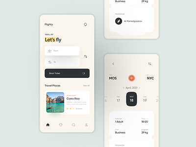 Flighty App UI Design