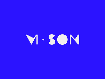 vi • son