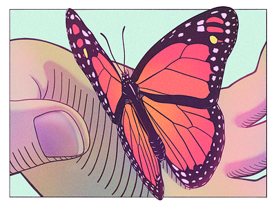 Monarch illustration