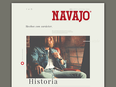 NAVAJO app bird brand branding color design icon letters logo logotype web