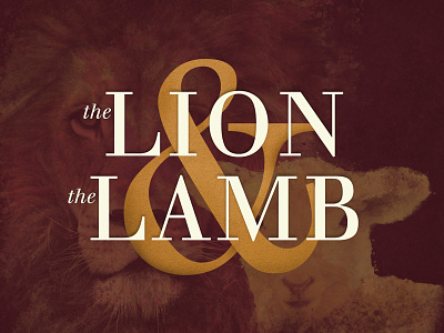 the Lion & the Lamb