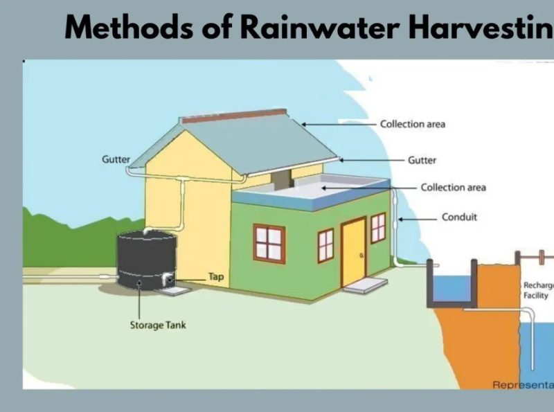 What Is Rain Water Harvesting? by Bhushan on Dribbble