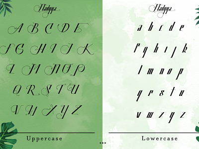 Lowercase - Nadyya Display Font batik branding design font font awesome font design font family fonts illustration logo typography