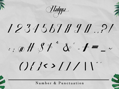 Number - Nadyya Display Font