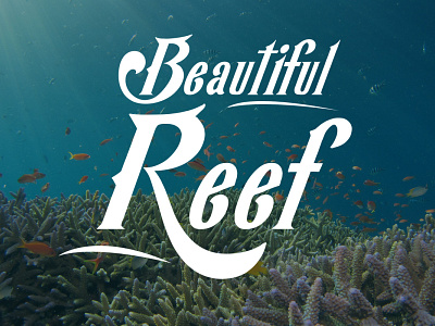 Reef - Kekfish Display Font branding design fish fish logo fisherman font font awesome font design font family fonts illustration logo sea seafood seafood restaurant typography