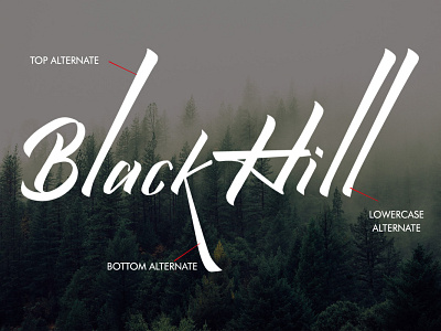 Blackhill - Qistty Display Font