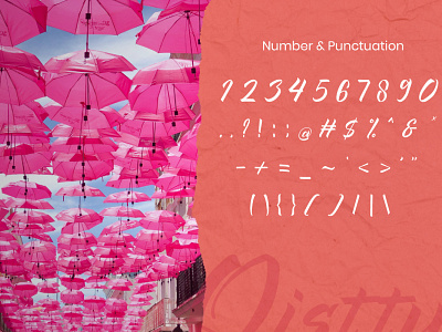 Number - Qistty Display Font branding design flamingo font font awesome font design font family fonts illustration logo peach pink pink logo rose sakura typography