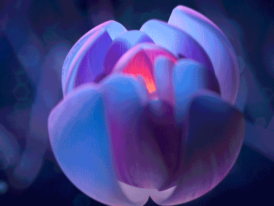 Flower 3d animation flower render