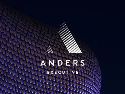 Anders Executive branding branding logo logo mark recruitment branding