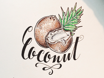 Coconut and dots coconut dots experiment fruit illustration typography