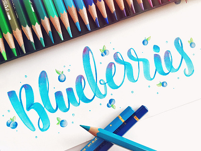 Blueberries berries blue blueberries coloring fruit hand lettered hand lettering illustration pencil typography