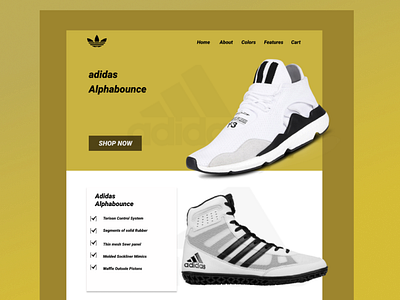 Adidas branding design icon illustration minimal typography ui ux website