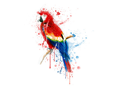 watercolor parrot tshirt design