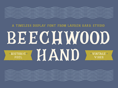 Beechwood Hand Font font graphic design hand lettered font handlettering typography