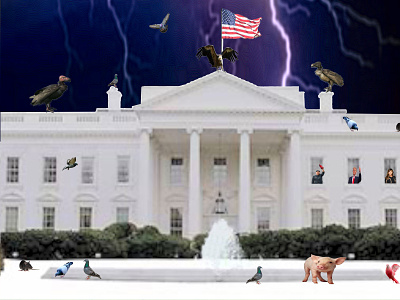 2020: A Whitehouse Nightmare 2020 bomb kim jong un melania pigeons putin rat swine trump whitehouse