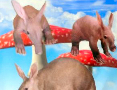 Aardvarks in Wonderland aardvarks ant eaters mushrooms sky