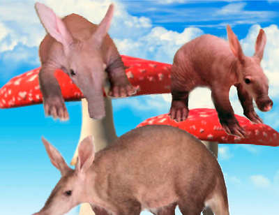 Aardvarks in Wonderland aardvarks ant eaters blue grass green mushrooms red sky