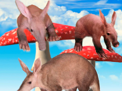 Aardvarks in Wonderland