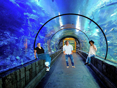 At The Aquarium aquarium blue design educational enjoyment family fish fun green group of people happiness man people sealife three people two women