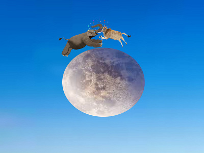 And the Cow and the  Elephant Jumped Over the Moon2