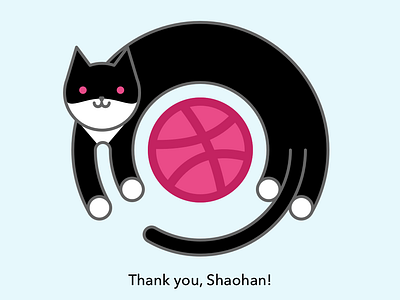 Cat Jump Over a Dribbble (static)