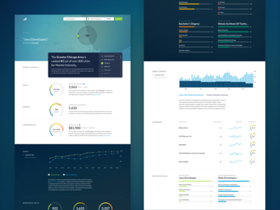Conceptual Report