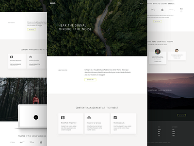 Echo Pro Front Page dark landing page mockup shadow template theme ui ux white wordpress