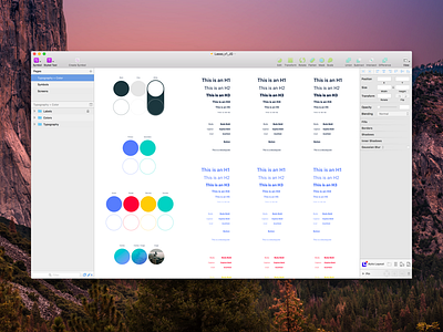 Sketch Setup