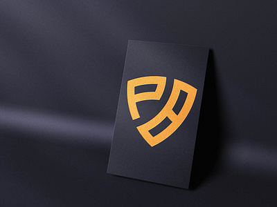 P+B Letter Logo Design