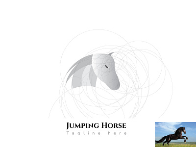 Jumping Horse (Golden ratio design) branding design illustration logo logodesign modern modern logo design simple vector