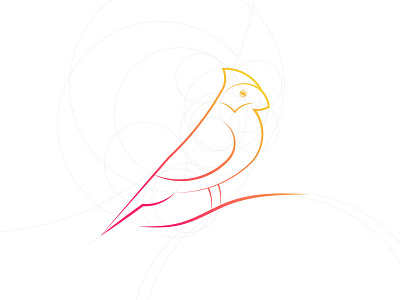 Golden Ratio (Bird) Concept bird branding design icon illustration logo logodesign modern modern logo design simple ui vector