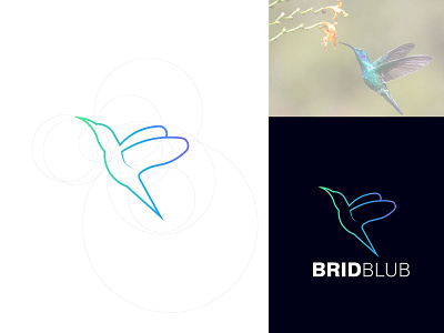 Golden Ratio Brid Concept animation branding design golden ratio (lake bird) concept graphic design illustration logo logodesign modern modern logo design motion graphics simple vector