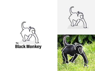 The Black Monkey Logo branding design illustration logo logo vector logodesign modern modern logo design monkey monkey logo monkey vector simple simple logo the black monkey vector