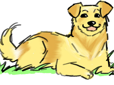 Golden animals dogs illustraion sketch