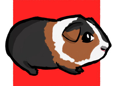 Guinea piggie! animals cute illustration sketch