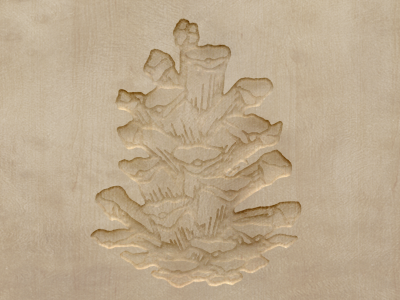 Carved Wood Rebound: Pinecone photshop rebound texture