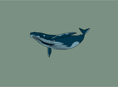 Whale design graphic design illustration vector