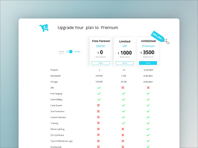 Pricing - Web-page Design