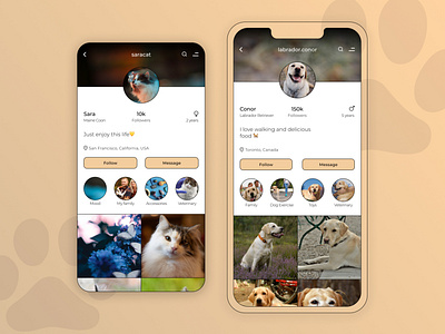 User Profile app dailyui dailyui challenge dailyui006 design figma graphic design pets profile social network ui user profile web