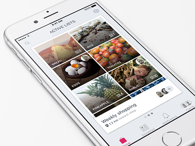 Weekly Shopping application flat ios shopping list
