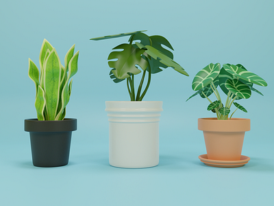 Plants Study 3d art 3d modeling blender blender3d