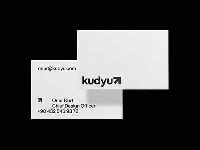 Kudyu - Branding
