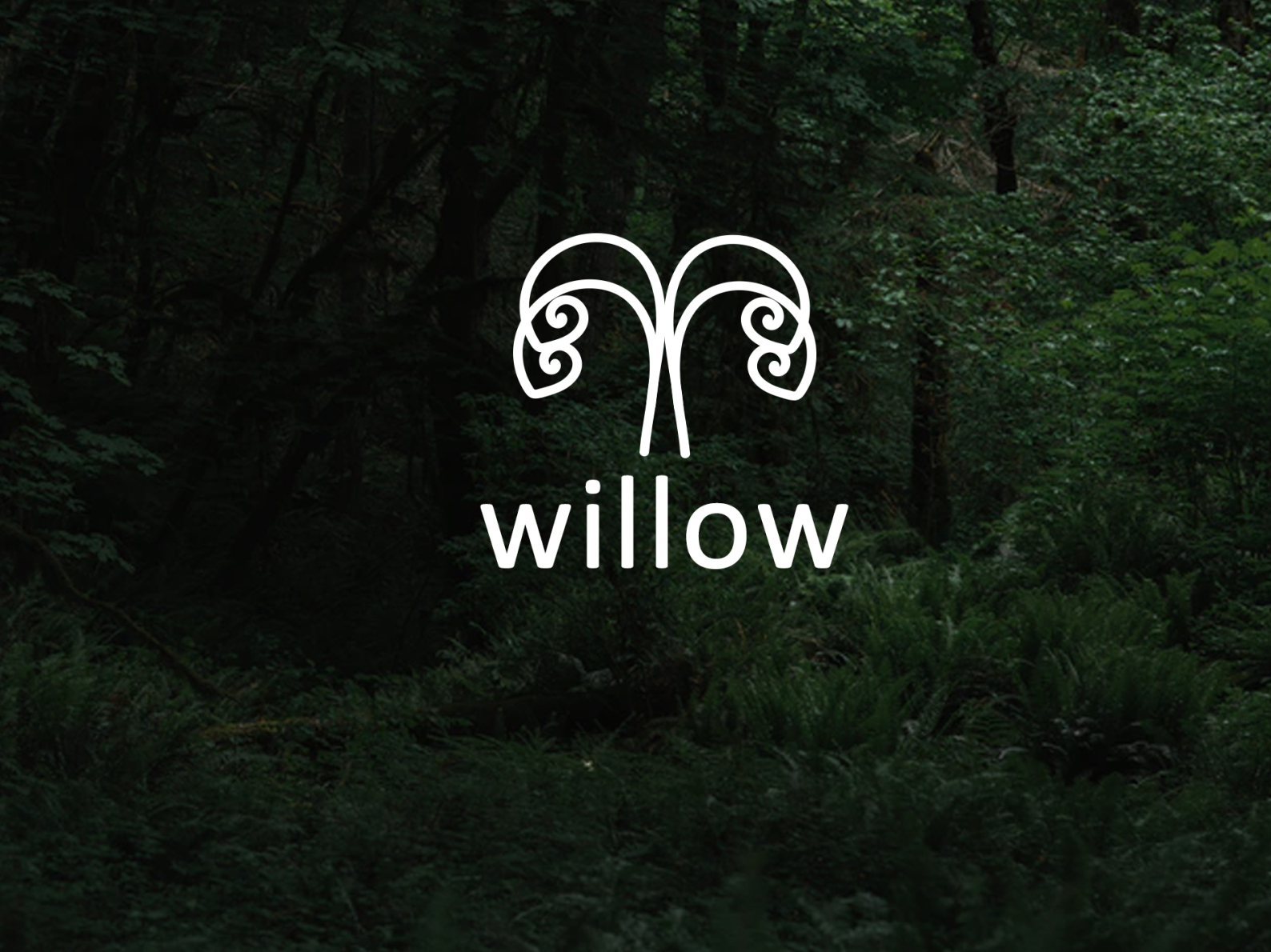 Willow Logo By Sup On Dribbble