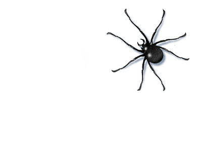 Spider creepy crawlie photoshop spider