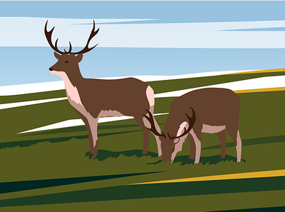 Reindeers arctic caribou deer editorial flat illustration nature prairie reindeer science sky vector