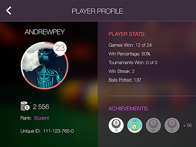 Player profile